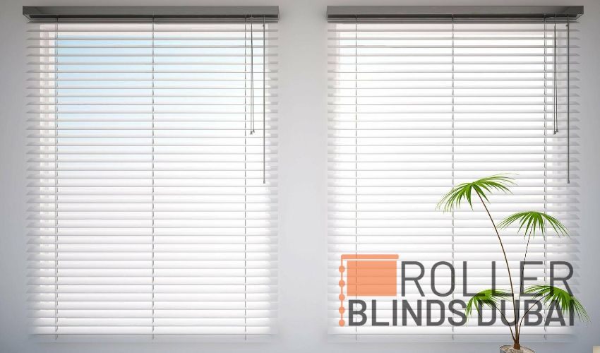 Types of Blinds For Windows