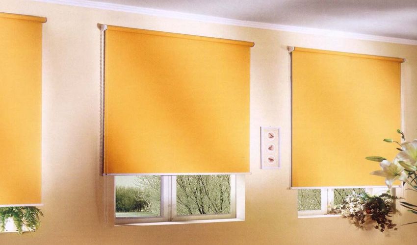 Sustainable Style Embracing Eco-Friendly Roller Blinds