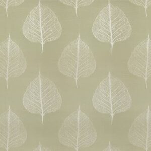 i8-Folio Lapis Pear